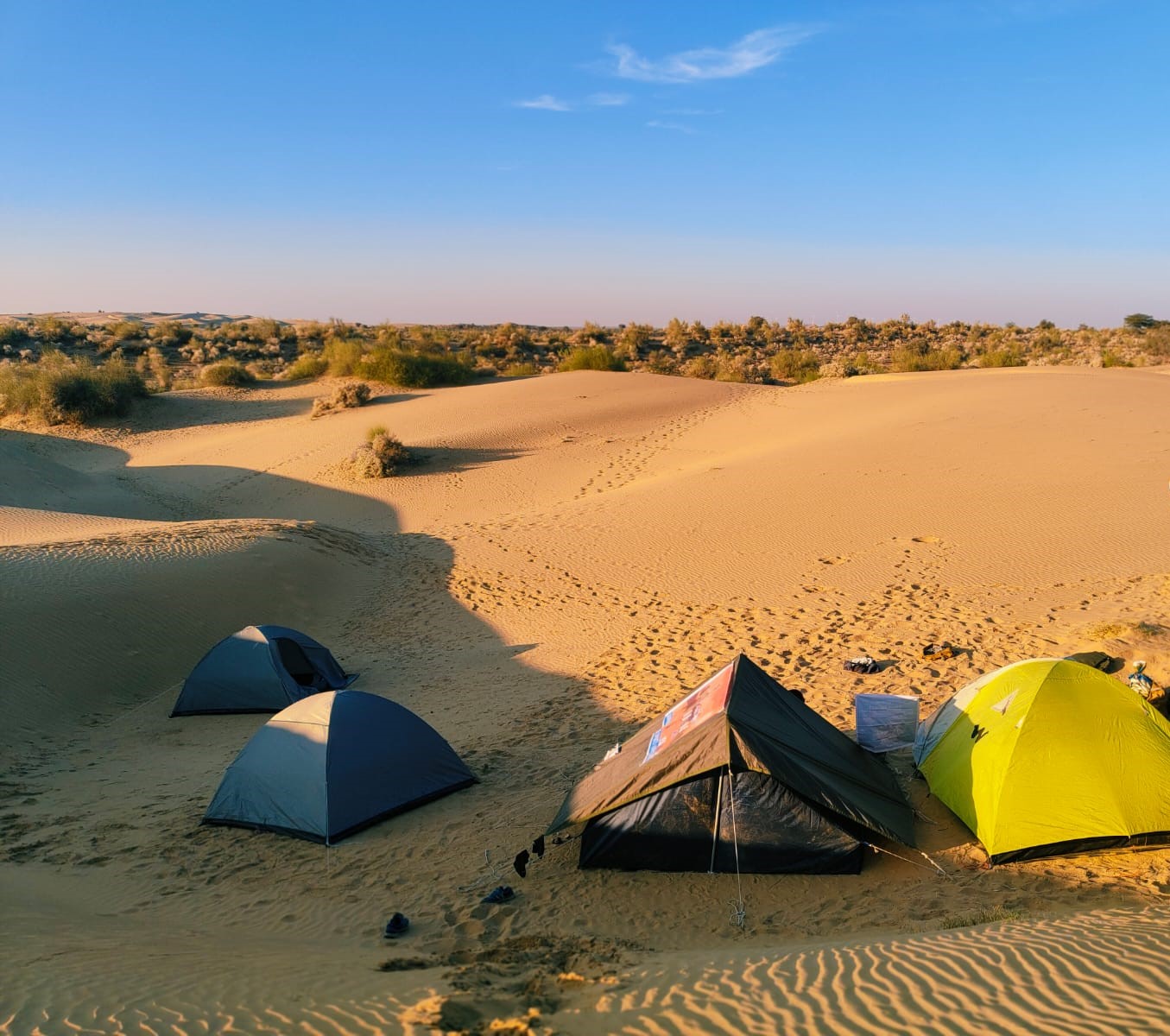 DESERT SURVIVAL TREK