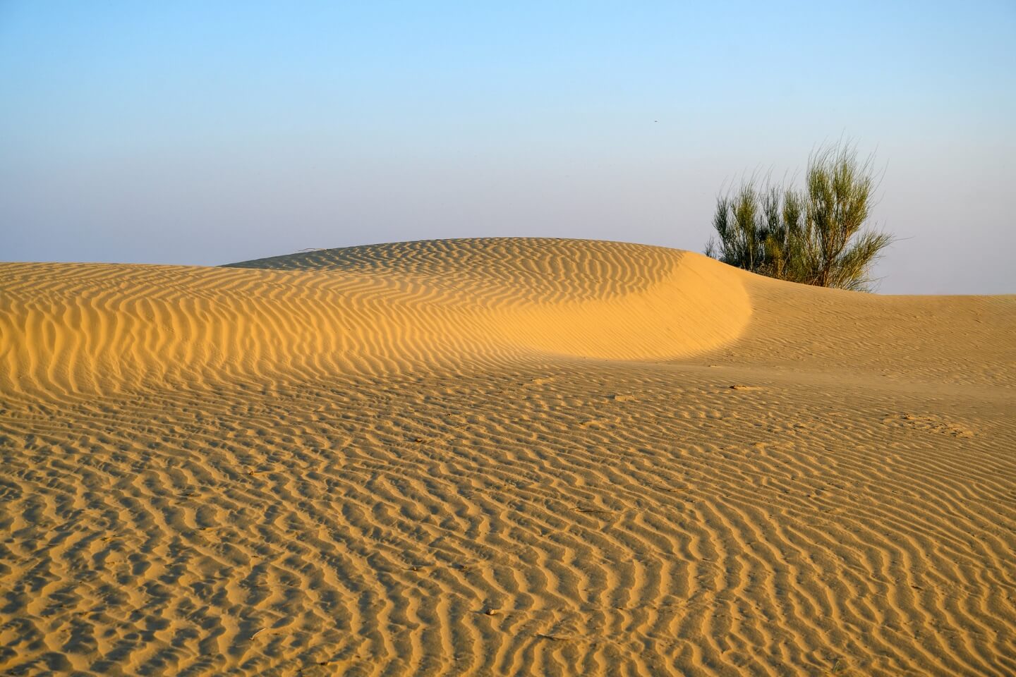 Sam Sand Dunes